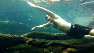 The Bluest Water in Florida Blue Spring State Park