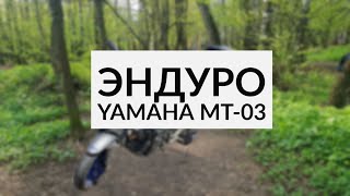 Эндуро на Yamaha MT-03