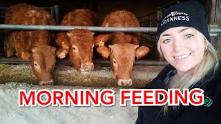 OUR FEEDING ROUTINE + FORD 8210