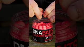 PIMP YOUR FLUOROS! #dnabaits #carpfishing #carp #carpangler #fishing #bigfish #biggboss #fish