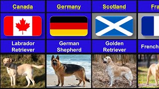 Dog Breeds From Different Countries in the World