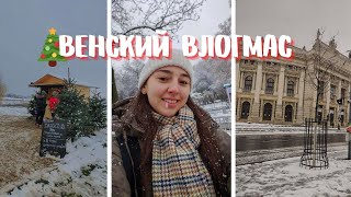 ВЛОГМАС❄️: первый снег в Вене, подготовка к рождеству и уличная еда