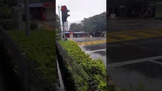 Rain in Malaysia #shortvideo #shorts #rain #rainsounds #satisfying #satisfyingsounds#satisfyingvideo