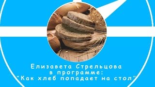 Как хлеб попадает на стол (Елизавета Стрельцова 5 лет)