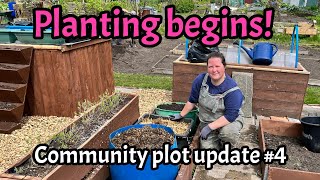 The Community Plot - Planting begins!