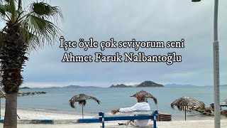 İşte öyle çok seviyorum seni | Ahmet Faruk Nalbantoğlu