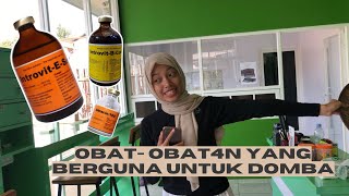 OBAT PENTING UNTUK DOMBA