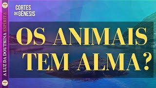 054 - OS ANIMAIS TEM ALMA?