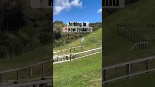 #zorbing #newzealand #extremesports #watersport #blacktraveler #blacktravelgang #actionadventure