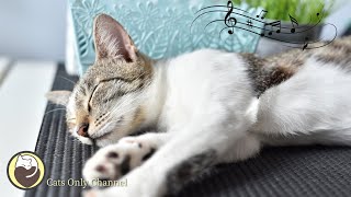 Cat Music - Deep Relaxing Music for Cats (with cat purring sounds)