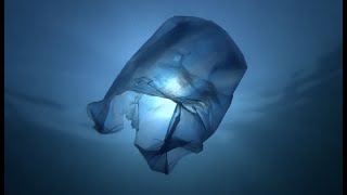 PLASTIC BUSTERS MPAs - Documentary