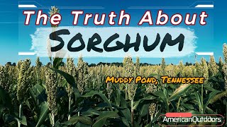 The Truth About Sorghum (Plus A Trip To Muddy Pond, Tn)