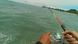 ramai sambaran ..!! mancing casting di pulau lancang kepulauan seribu