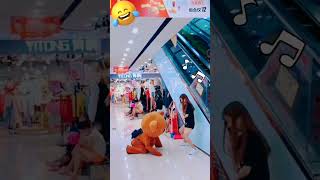 Funny Video l Funny Bear 🐻😂 P1729 #Shorts