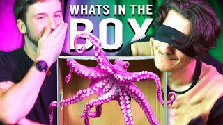 What's In The Box Disaster (Disgusting)