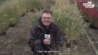 Groene vingers kweek je bij een kwekerij