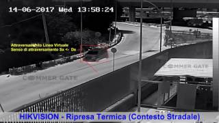 HIKVISION Ripresa Termica (Wirecross)