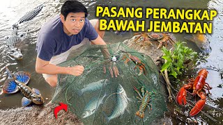 PASANG PERANGKAP DI BAWAH JEMBATAN AIR PAYAU! BANYAK BANGET IKAN DARAT DISINI! DAPET JACKPOTKAH?!