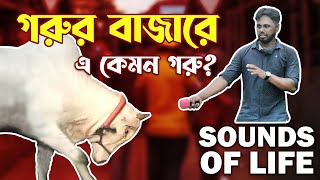 Gorur Bazar | গরুর বাজারে এ কেমন গরু? | Sounds Of Life (Episode - 2) | গরুর বাজার | Shipon