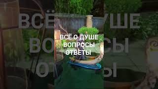 Ведьма Инга Хосроева #лекции #душа #вопросы #ведьминаизба #ингахосроева #shorts