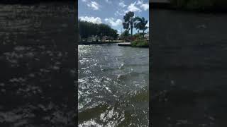 Windy no-paddle paddle boarding in Ft. Myers