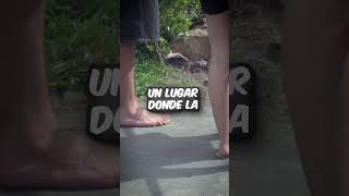 Caminar descalzo sin zapatos el sueño de vivir en Australia sin quedar sucio 🦶￼￼🤔 #Shorts