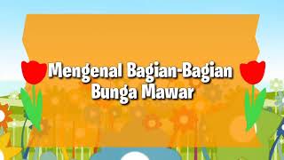 Mengenal Bagian-Bagian Bunga Mawar