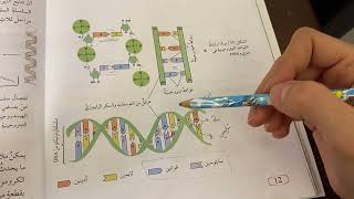 شرح درس الوراثة / الصف الثامن علوم / الفصل الاول