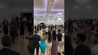 Harika bir Kürt aşiret düğünü - Kurdish Wedding Dance #shorts