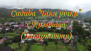 Усадьба "Біля річки" (с.Колочава, Закарпатье) 2022