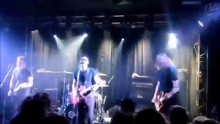 Not Scientists (live @ l'Astrolabe - 2016)