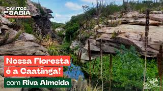 Nossa floresta é a Caatinga | Cantos do Sabiá