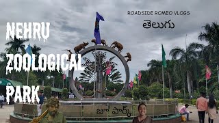 జూ పార్క్ | Nehru Zoological Park | Zoo Park | పార్క్ లో పిల్ల సెట్ అయింది