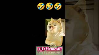 Doge meme new#viral#funny🤣🤣#vedio see and enjoy and subscribe my channel R_D Memes67