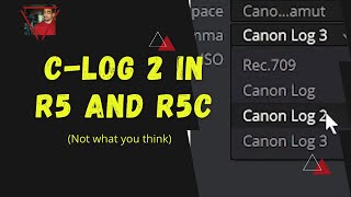 C-Log 2 Confirmed by Canon for R5/R5C - Not what we asked...