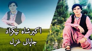 Akbershah Nikzad New Japani song اکبرشاه نیکزاد نوي جاپانی غزل