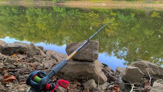 Why Fall is a great time to Catch Big Flathead Catfish!! (Bank fishing)