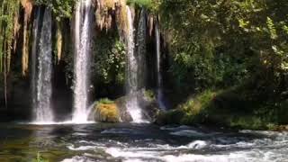 Waterfall nature shorts video