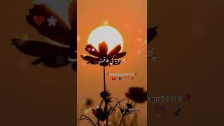 Izat Allah pak deta hai | Peer Ajmal Raza Qadri #shorts #shortsviral #ytshorts #shortvideo #islamic