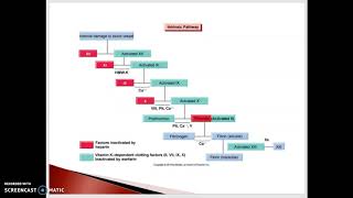 Coagulation Modifier drugs - Part 1