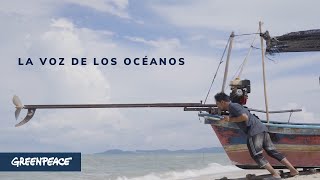 La pesca artesanal y su beneficio para los océanos - Greenpeace México