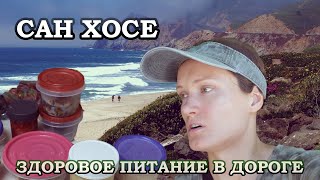 США VLOG поездка в Силиконовую Долину Стенфорд Замок-музей красивая природа КАЛИФОРНИИ берег океана