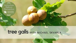 Tree Galls