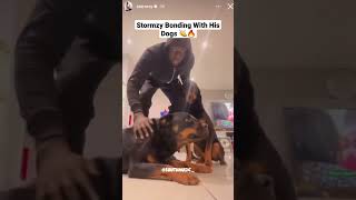 Stormzy Bonding With His Dogs 🔥👏