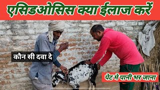 Bakre Ke Pet Me Pani Bhar Gya |Vimal Umrao Training Class