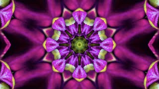 Flowers Kaleidoscope with calming and relaxing music   - 30 Minutes of Peace