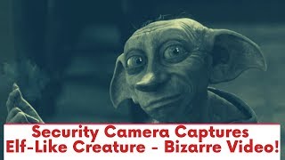 Security Camera Captures Elf-Like Creature - Bizarre Video!