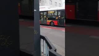 Лінія/linka 3 Slezské př (Škoda 30Tr SOR) #bus #shorts