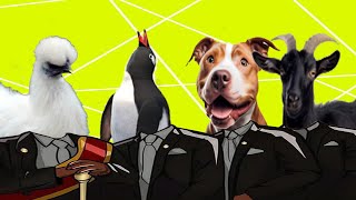 SILKIE ROOSTER & PENGUIN & PUPPY & GOAT - COFFIN DANCE MEME COVER