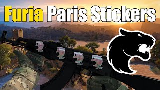 CSGO - Furia Paris Stickers / AK-Slate